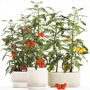 Kitchen garden white pot vegetables tomatoes cherry bush model