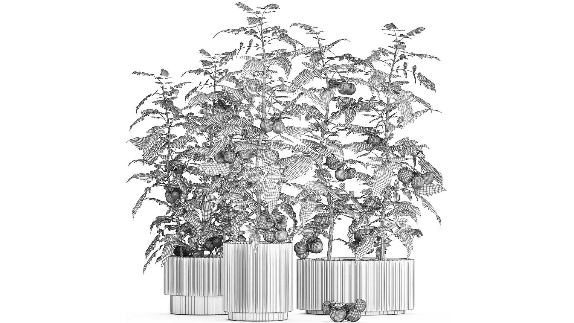 Kitchen garden white pot vegetables tomatoes cherry bush model https://p.turbosquid.com/ts-thumb/dq/HJcnBa/tA/1tomatobushes20102309/jpg/1698068628/1920x1080/fit_q87/4fb9d9f34cdcda82d9d639a315471fe5c4585a7a/1tomatobushes20102309.jpg