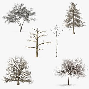 Winter Trees Collection 7 3D