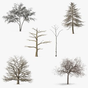 Winter Trees Collection 7