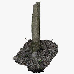 3D tree root in the ground model