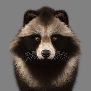 Raccoon Dog Tanuki 3D model
