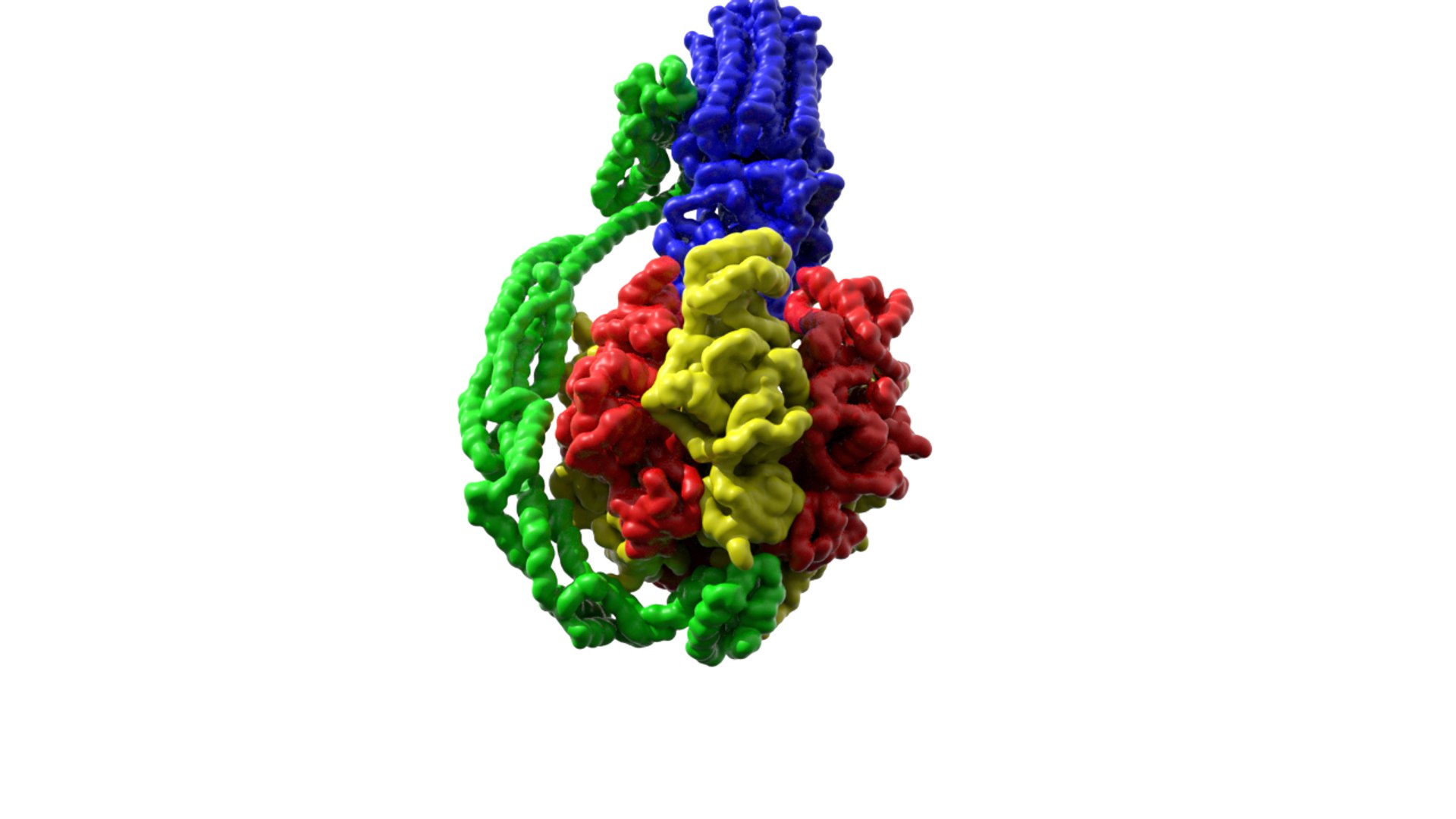 3d Atp Synthase Turbosquid 1296102