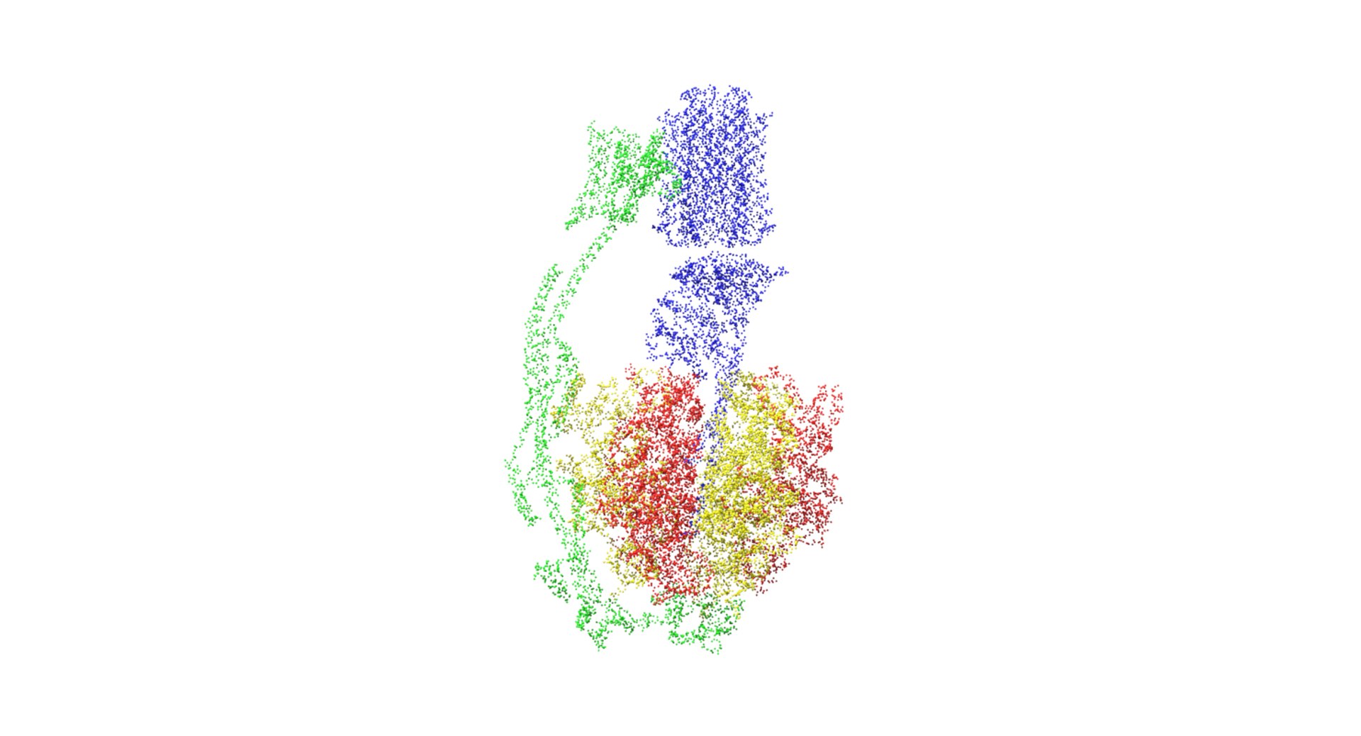 3D Atp Synthase - TurboSquid 1296102