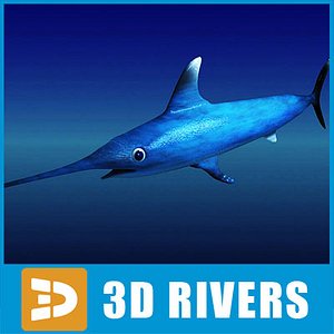 3d swordfish fish model