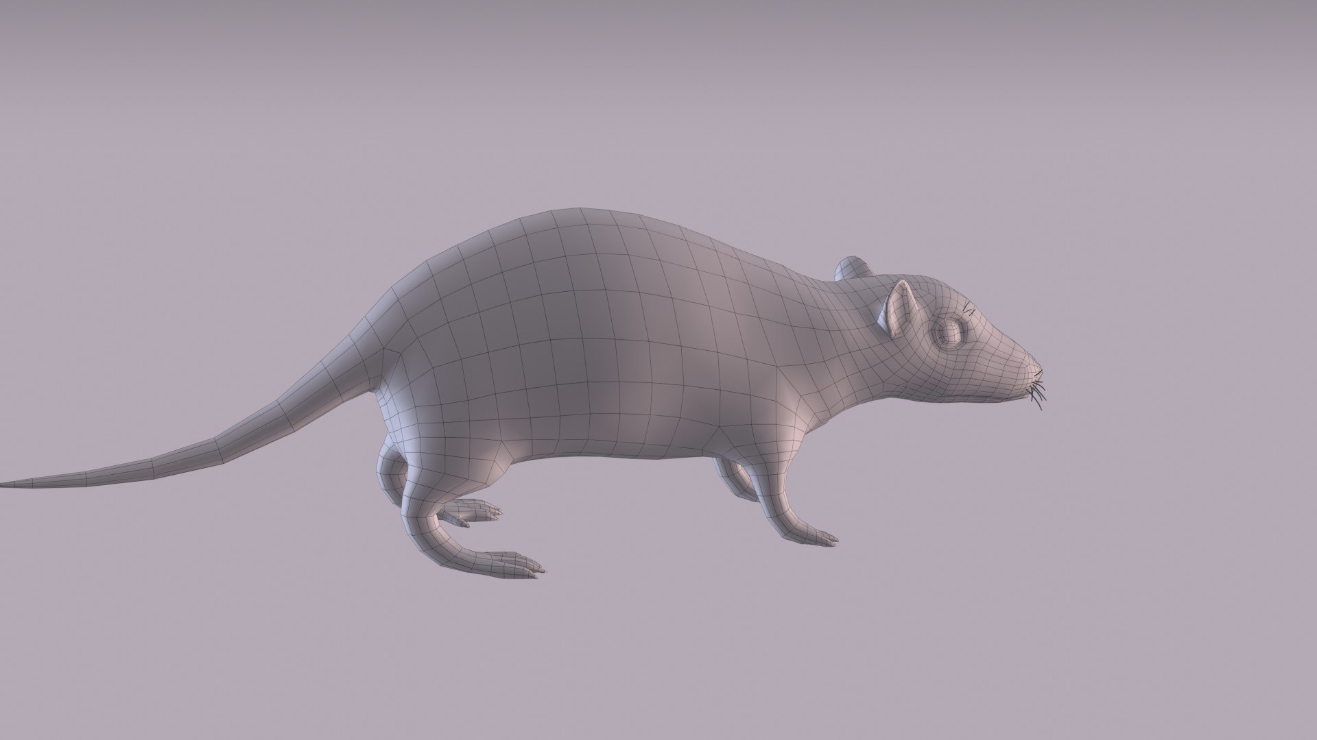 Brown Rat Model - TurboSquid 1859160