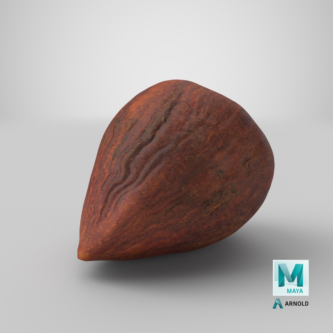 3D model Hazelnut 01 Without Shell https://p.turbosquid.com/ts-thumb/dr/0SLjsw/Dm/stemcell_maya_arnold_render/png/1684478021/1920x1080/fit_q87/f029d3bf66c230612d7725965b65fe910debaae5/stemcell_maya_arnold_render.jpg