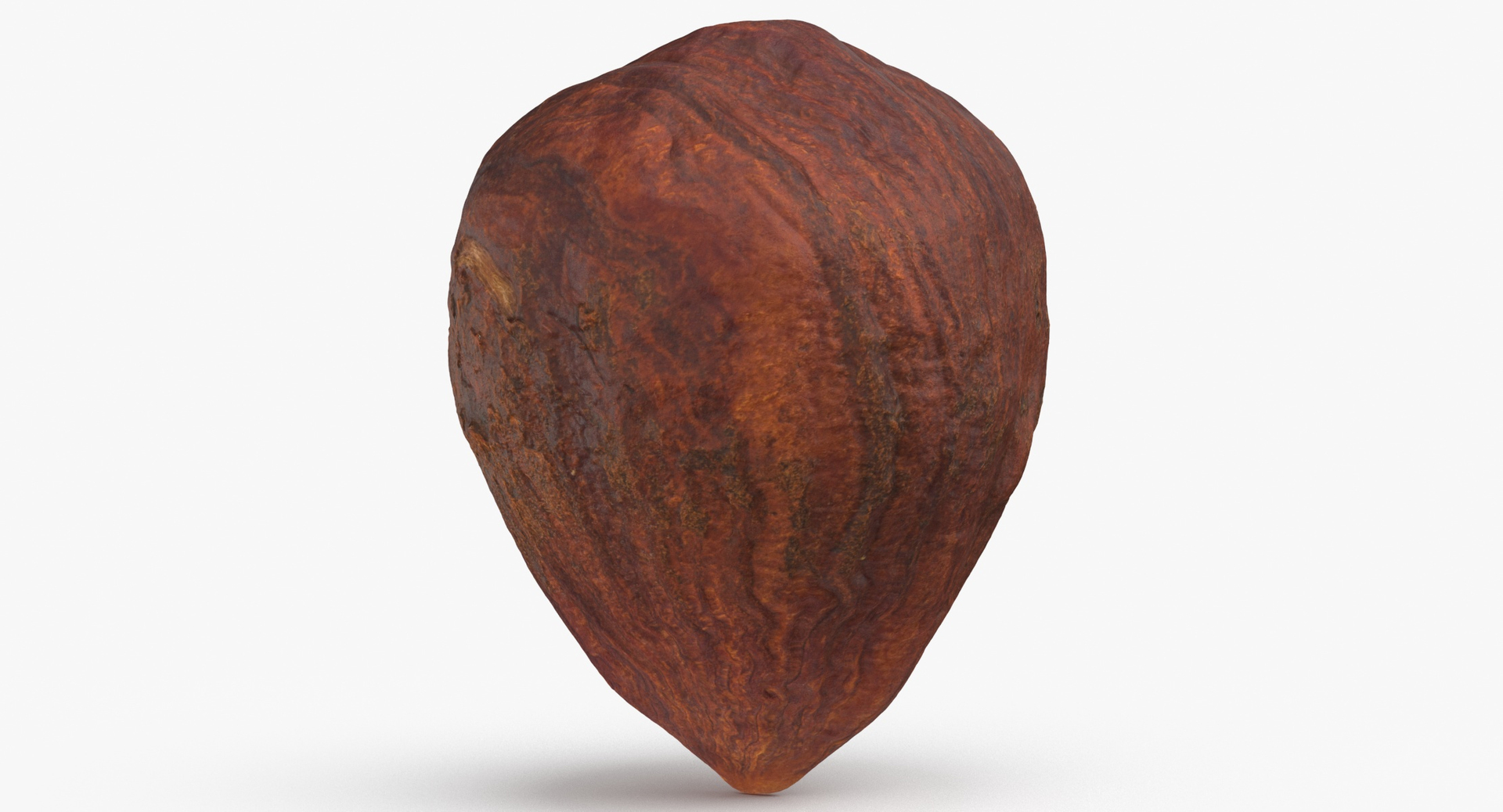 modelo 3d Hazelnut 01 Without Shell - TurboSquid 2068835
