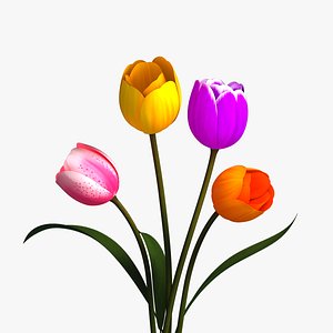 3D Tulips Flowers Animated
