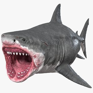 Megalodon Rigged