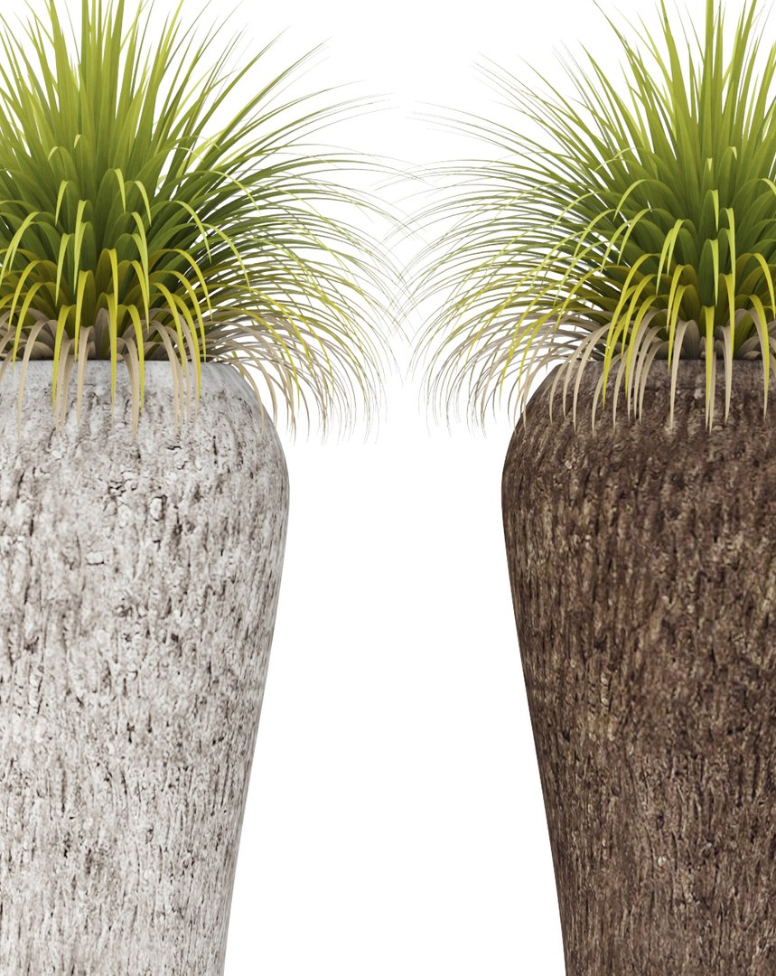 plants potted 3d max https://p.turbosquid.com/ts-thumb/dr/AMv0Q8/9mZCqJTI/xanthorrhoea03/jpg/1485254501/1920x1080/fit_q87/03dda0d40785d5cb61f62843788c9120f18cbc6d/xanthorrhoea03.jpg