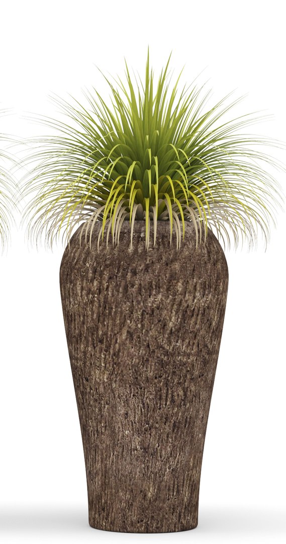 plants potted 3d max https://p.turbosquid.com/ts-thumb/dr/AMv0Q8/BsaIVcZg/xanthorrhoea02/jpg/1485254501/1920x1080/fit_q87/9b5603fa8130eb61a946a5e43883dc4d6de37509/xanthorrhoea02.jpg