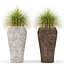potted plants