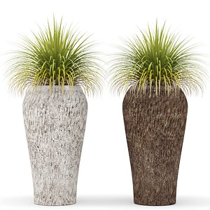 potted plants