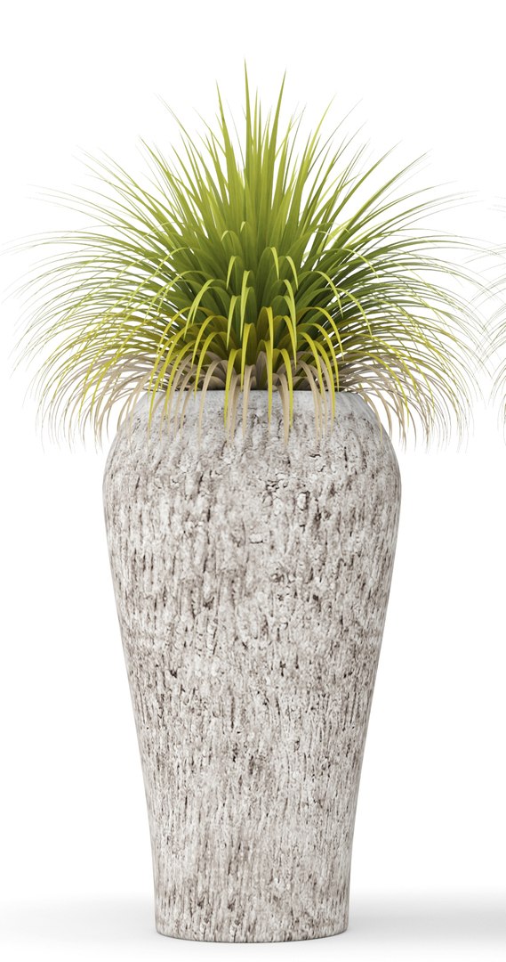 plants potted 3d max https://p.turbosquid.com/ts-thumb/dr/AMv0Q8/jdG44mFq/xanthorrhoea01/jpg/1485254501/1920x1080/fit_q87/6dd9c2d99494dd4568fa631a0b645a72f3a1e6b7/xanthorrhoea01.jpg