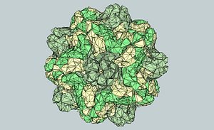 3d virus model