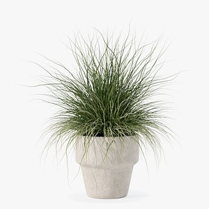 3D Grass in big flower pot