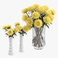 Yellow Asters