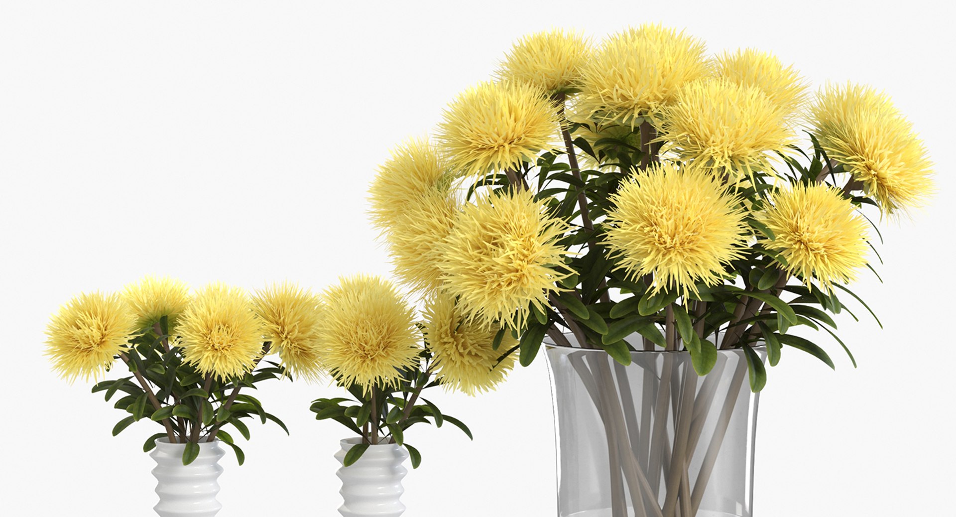 Realistic Yellow Asters 3D Model - TurboSquid 1348888