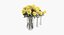 Yellow Asters