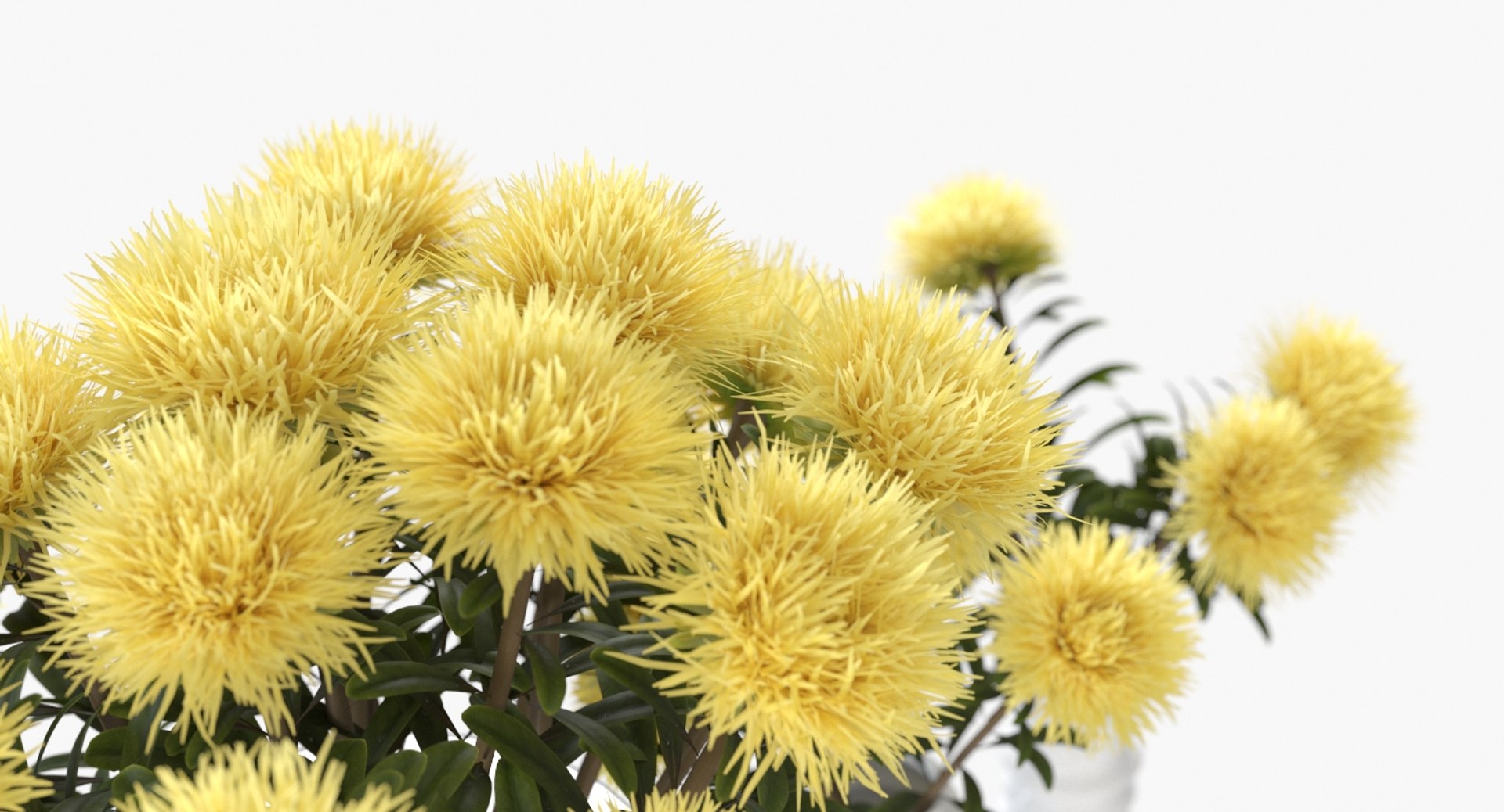 realistic yellow asters 3D model https://p.turbosquid.com/ts-thumb/dr/Dr1L9s/hc3GY3pD/yellow_aster_07/jpg/1542915411/1920x1080/fit_q87/107474d0f827ce188221a06335a3be34ec11a372/yellow_aster_07.jpg