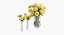Yellow Asters