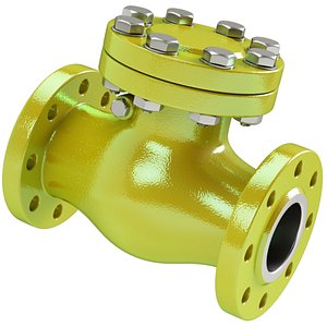 3D model check valve
