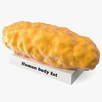 Human Body Fat Mass Model on Base