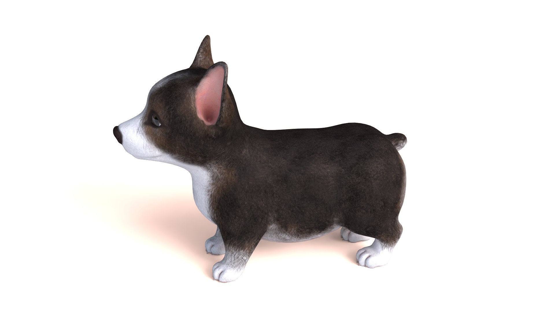 3D Pembroke Welsh Corgi Dog https://p.turbosquid.com/ts-thumb/dr/GkvlCp/Pf/dog09/png/1712650129/1920x1080/fit_q87/016a656bb42a239c208154ebfd341f40d1e264e6/dog09.jpg