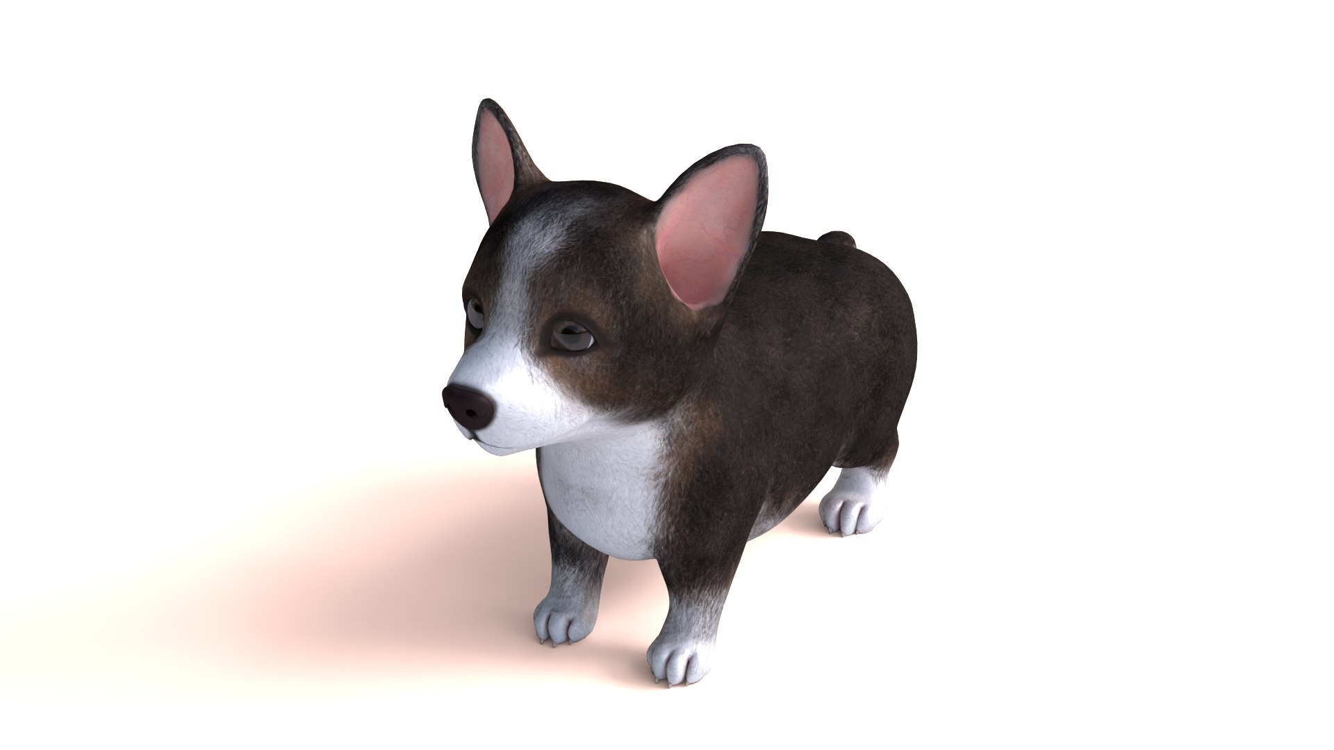 3D Pembroke Welsh Corgi Dog https://p.turbosquid.com/ts-thumb/dr/GkvlCp/W7/dog10/png/1712650129/1920x1080/fit_q87/75d925f93185bf40f5f99dfaac238c6ecfc86ec1/dog10.jpg