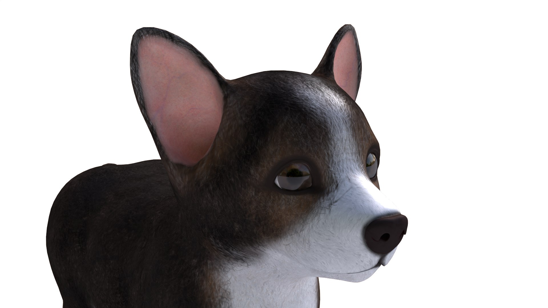 3D Pembroke Welsh Corgi Dog https://p.turbosquid.com/ts-thumb/dr/GkvlCp/XA/dog13/png/1712650131/1920x1080/fit_q87/ebbe1480cba088c186702fb60d51d732c30d5a44/dog13.jpg