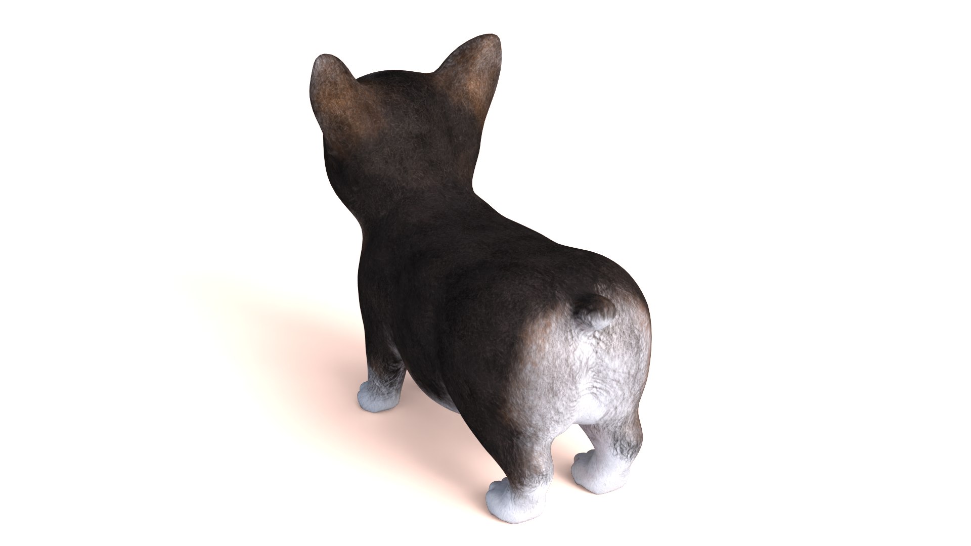 3D Pembroke Welsh Corgi Dog https://p.turbosquid.com/ts-thumb/dr/GkvlCp/up/dog07/png/1712650127/1920x1080/fit_q87/398433e14074cdd19b5f09355f6da16af06ea169/dog07.jpg