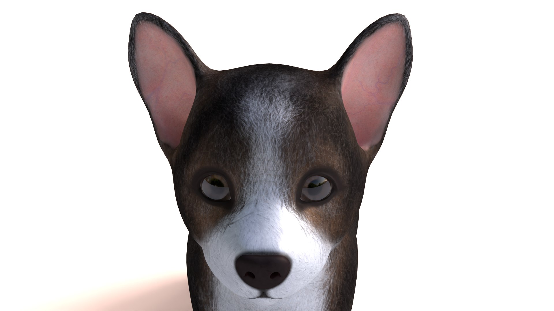 3D Pembroke Welsh Corgi Dog https://p.turbosquid.com/ts-thumb/dr/GkvlCp/vt/dog11/png/1712650130/1920x1080/fit_q87/8dce7046ebc180278e08a62459376a301baf61e0/dog11.jpg