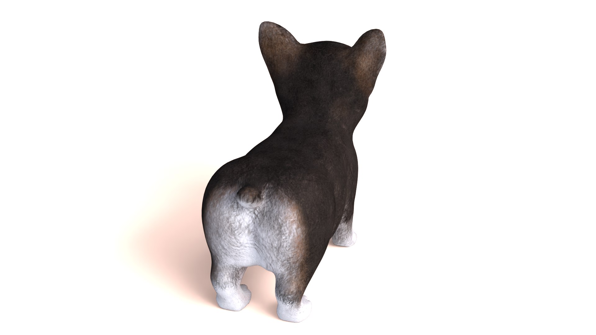 3D Pembroke Welsh Corgi Dog https://p.turbosquid.com/ts-thumb/dr/GkvlCp/ym/dog06/png/1712650126/1920x1080/fit_q87/952e9c6f5f7296b97bc8b392a6548652b915d1a2/dog06.jpg