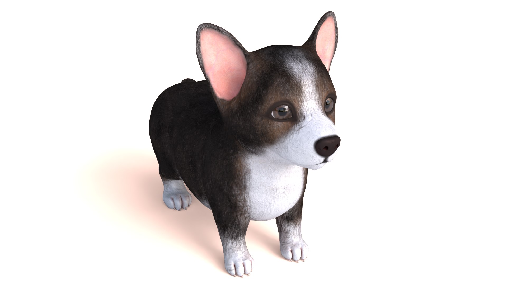 3D Pembroke Welsh Corgi Dog https://p.turbosquid.com/ts-thumb/dr/GkvlCp/zk/dog03/png/1712650123/1920x1080/fit_q87/c1be710cfe93be530bc37efbf62f7f018eb7363b/dog03.jpg