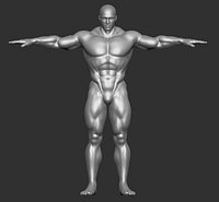 Male Template Muscle Man Superhero Buff