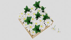 Daisy flowers 3D model