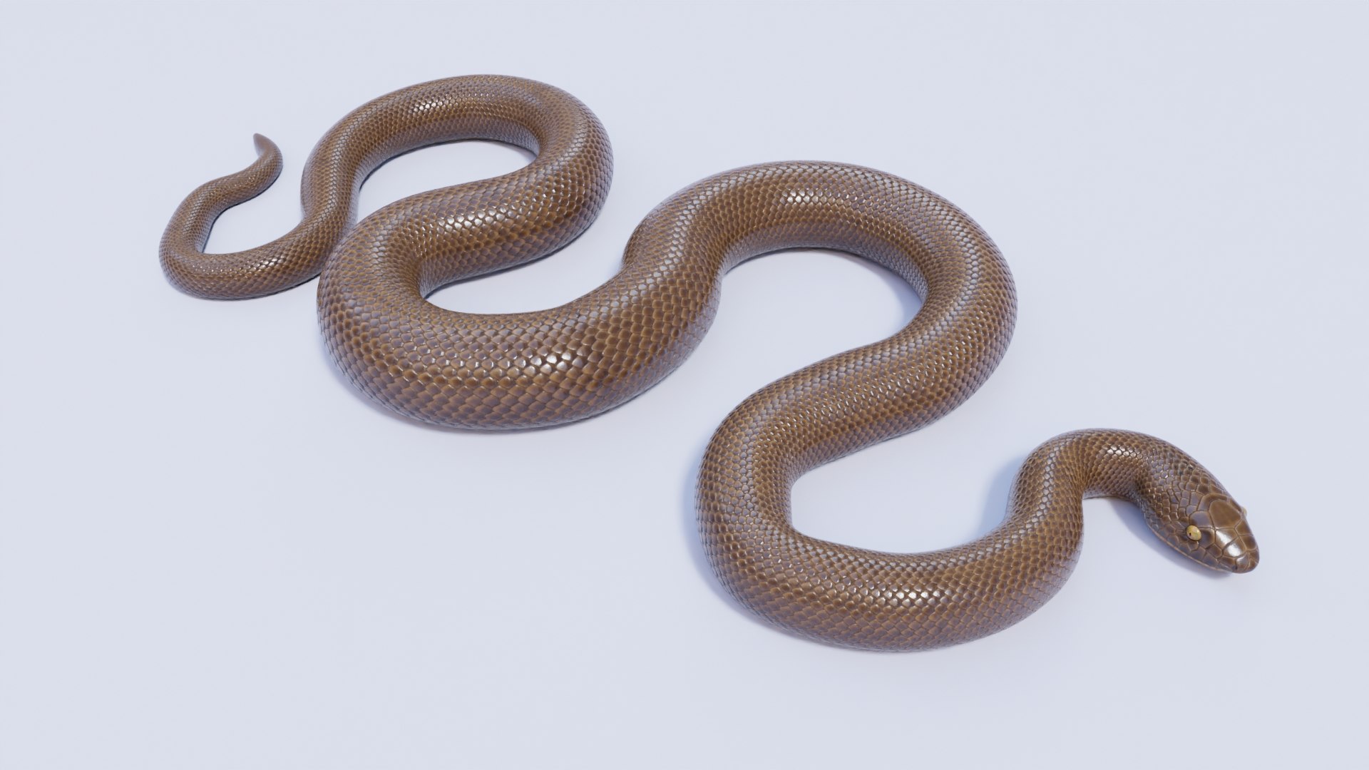 3D Rubber Boa Static Poses TurboSquid 2020574