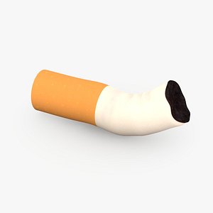 cigarette end1