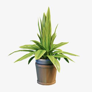 Stylized House Plant 30 3D model