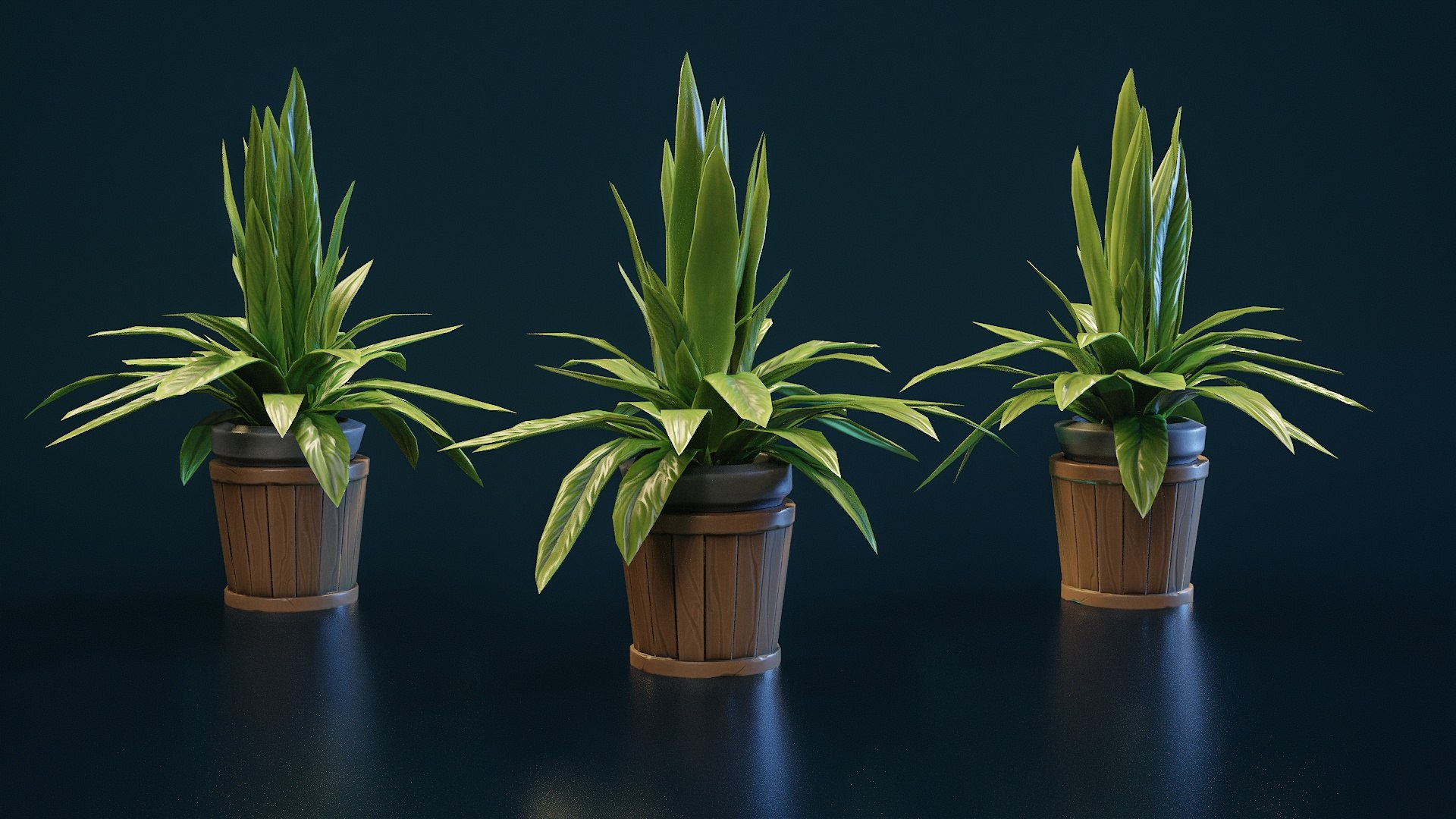 Stylized House Plant 30 3D model https://p.turbosquid.com/ts-thumb/dr/ebXmHB/df/p30_004/jpg/1783083089/1920x1080/fit_q87/3cb09b2fb7518cda7b6f77af7db8a728eb5f57b0/p30_004.jpg