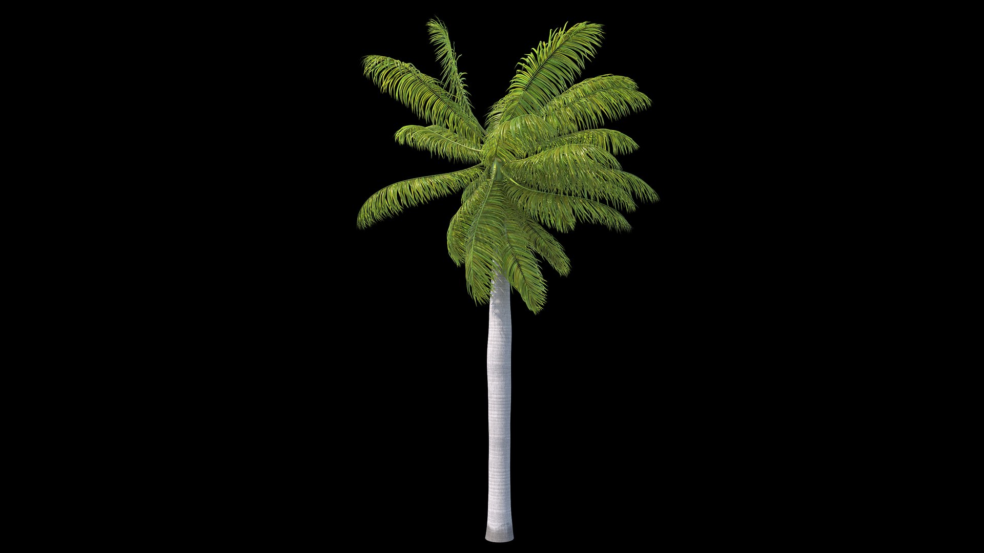 royal moderate wind 3D model https://p.turbosquid.com/ts-thumb/dr/g2nH6b/khHYoRAw/_sign_2/jpg/1601896016/1920x1080/fit_q87/0083abec4bf1a4ce1ea8dad041b4ae40cb1650a7/_sign_2.jpg