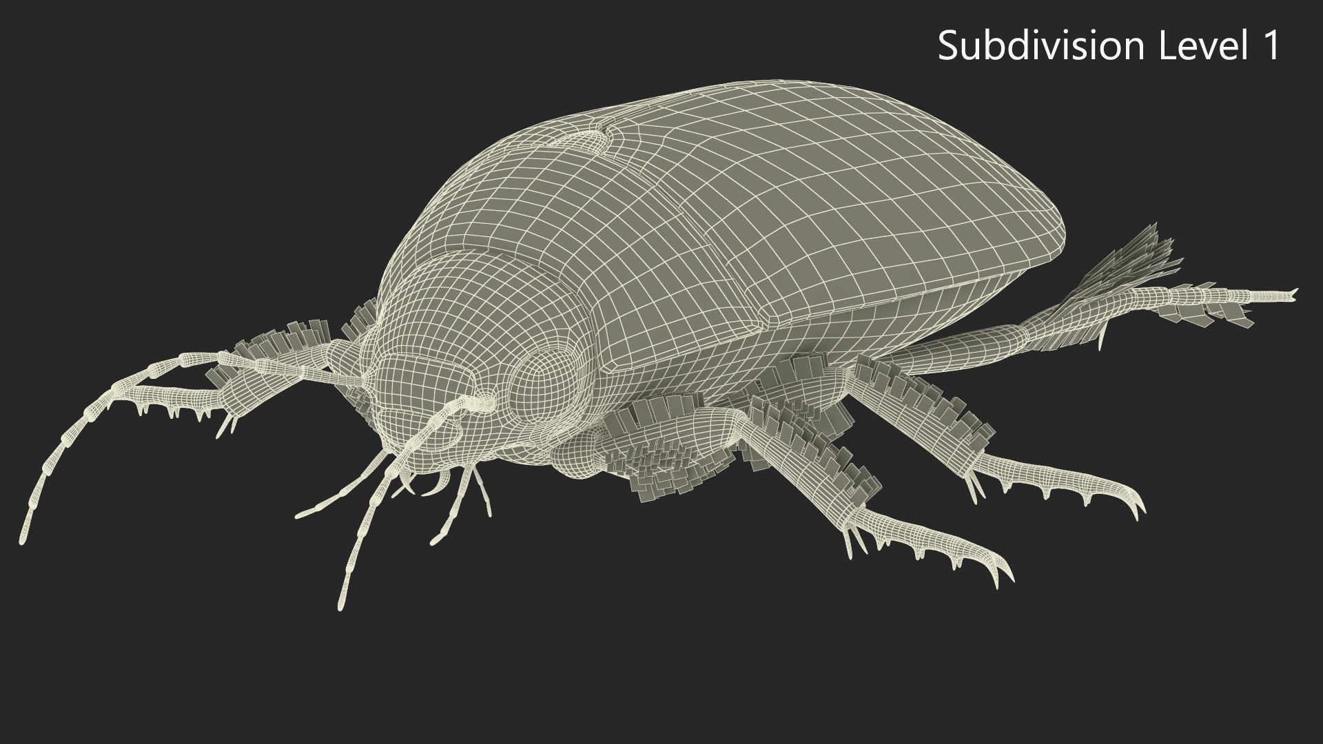 3D Water Beetle Beige Realistic https://p.turbosquid.com/ts-thumb/dr/hI1mCU/JX/waterbeetlebeigerealisticc4dmodel026/jpg/1718287956/1920x1080/fit_q87/192fe3ff5b522f44305484b7b20ccf2a77a389c2/waterbeetlebeigerealisticc4dmodel026.jpg