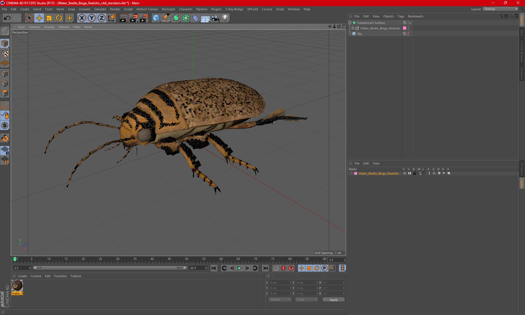 3D Water Beetle Beige Realistic https://p.turbosquid.com/ts-thumb/dr/hI1mCU/a4/waterbeetlebeigerealisticc4dmodel030/jpg/1718287969/1920x1080/fit_q87/81083a71f99c9f0b71b8d9183c6f6303a180eb48/waterbeetlebeigerealisticc4dmodel030.jpg