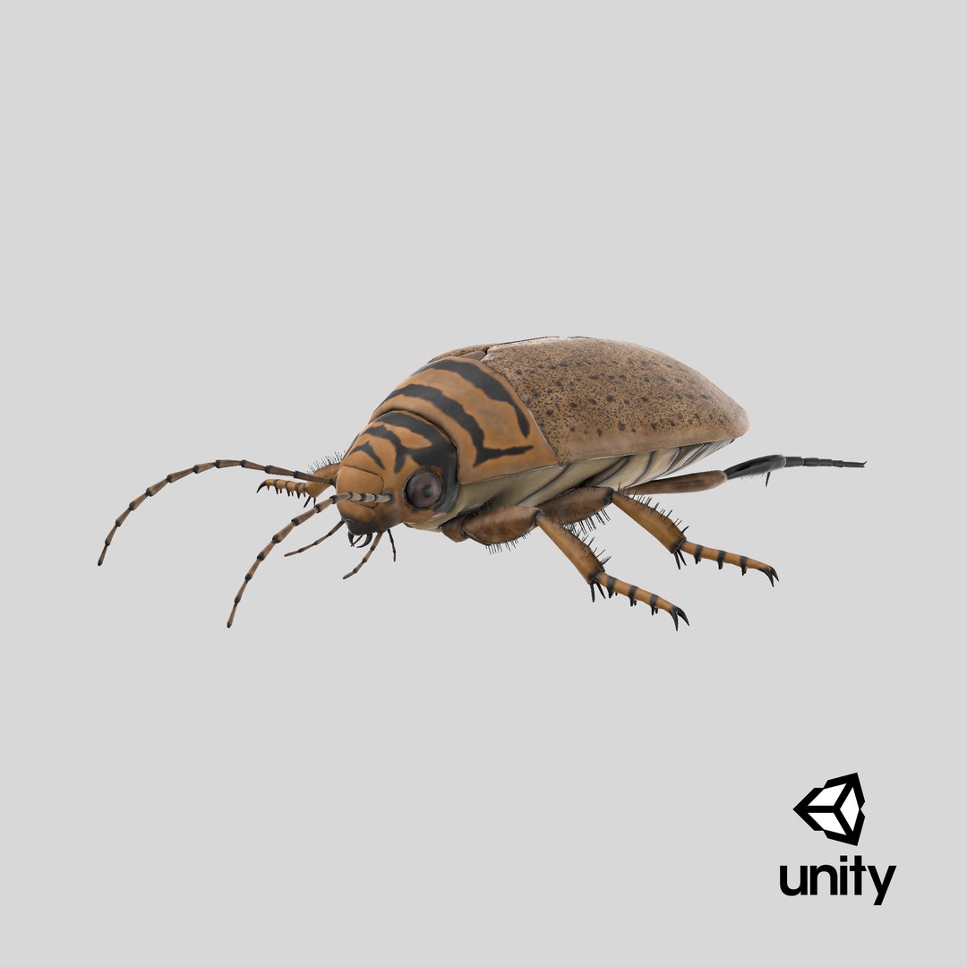 3D Water Beetle Beige Realistic https://p.turbosquid.com/ts-thumb/dr/hI1mCU/lr/stemcell_unity_render/png/1719593367/1920x1080/fit_q87/5a8252981d71edf354992e128cdb89b92a6a57ff/stemcell_unity_render.jpg