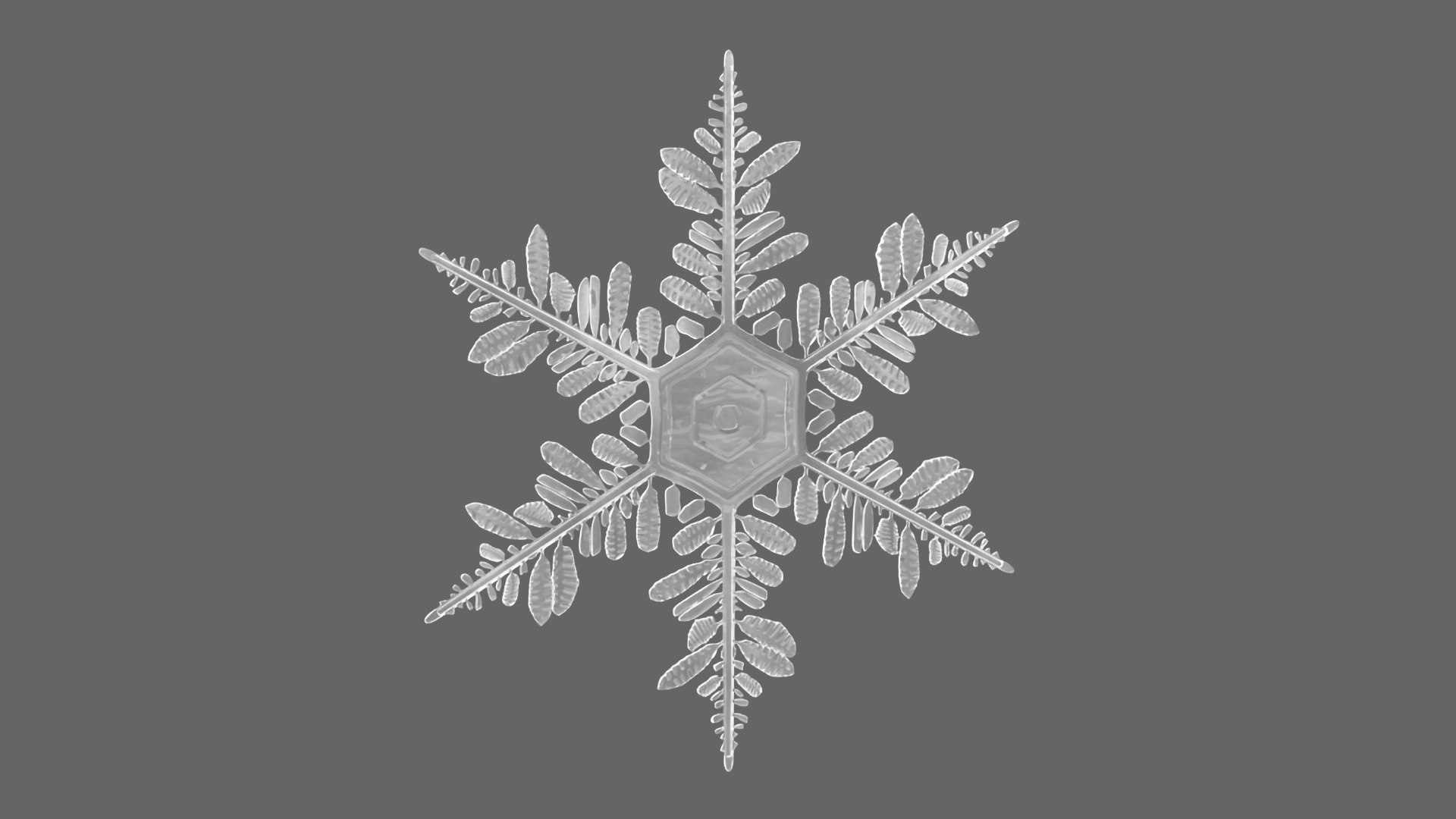 3D Detailed Snowflake https://p.turbosquid.com/ts-thumb/dr/hqa9UZ/DU/detailedsnowflakec4dmodel002/jpg/1719384717/1920x1080/fit_q87/f07285868dd931348ec6ab8607d5324d87679f3d/detailedsnowflakec4dmodel002.jpg