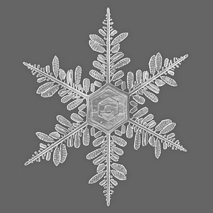 3D Detailed Snowflake