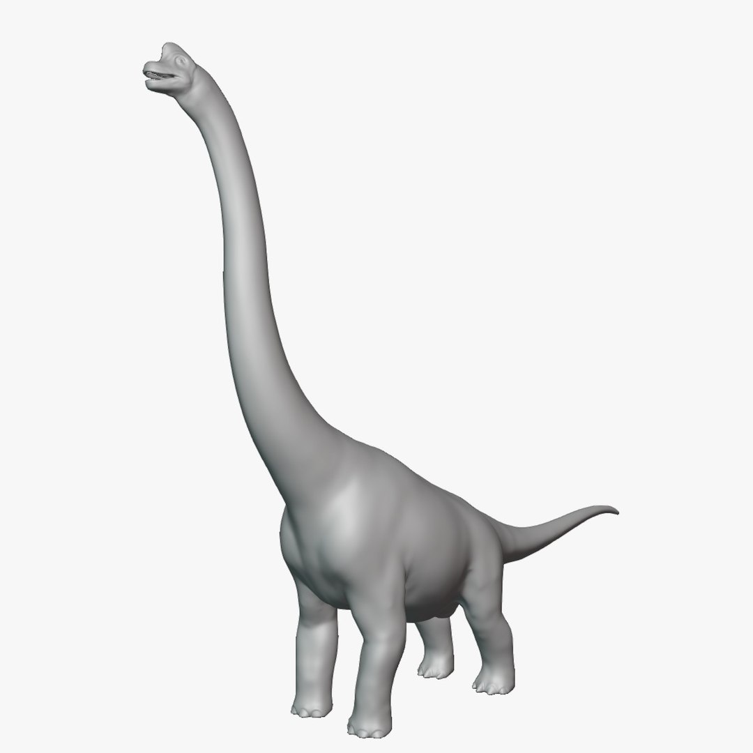 3D Brachiosaurus Dinosaur Basemesh model - TurboSquid 2107626