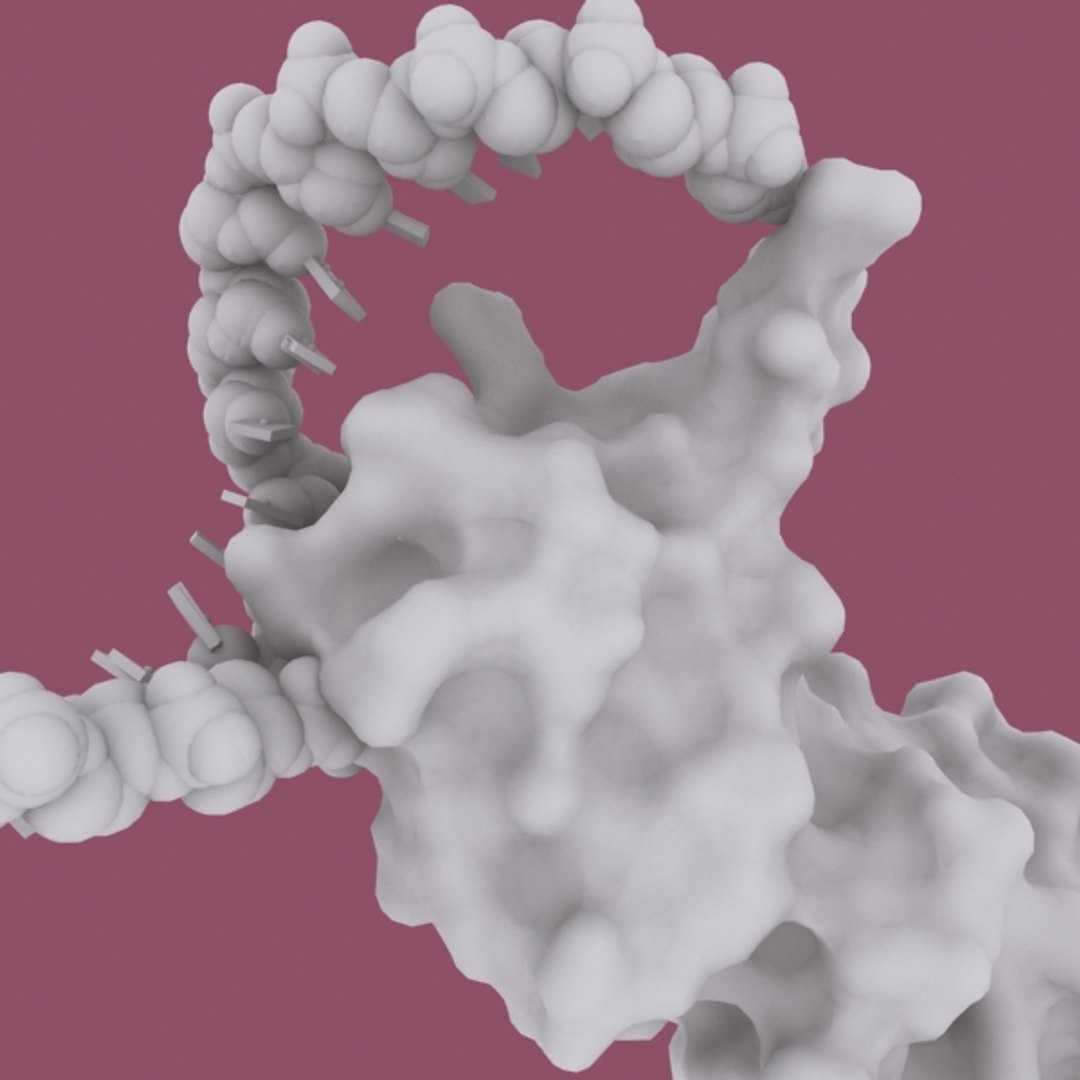 descb promoter 3d model