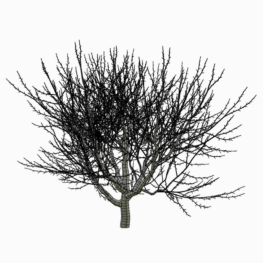 X Tree Environment